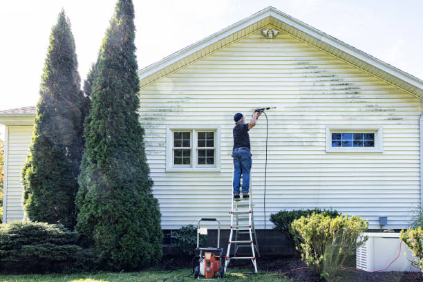 Best Roof Pressure Washing  in Lake Delton, WI